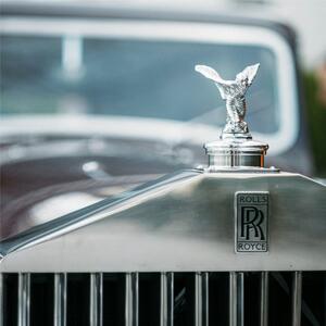 A temporary stop in time, right here in Melbourne.

#MotorsandMasterpieces  #RollsRoyce #MelbourneShowgrounds